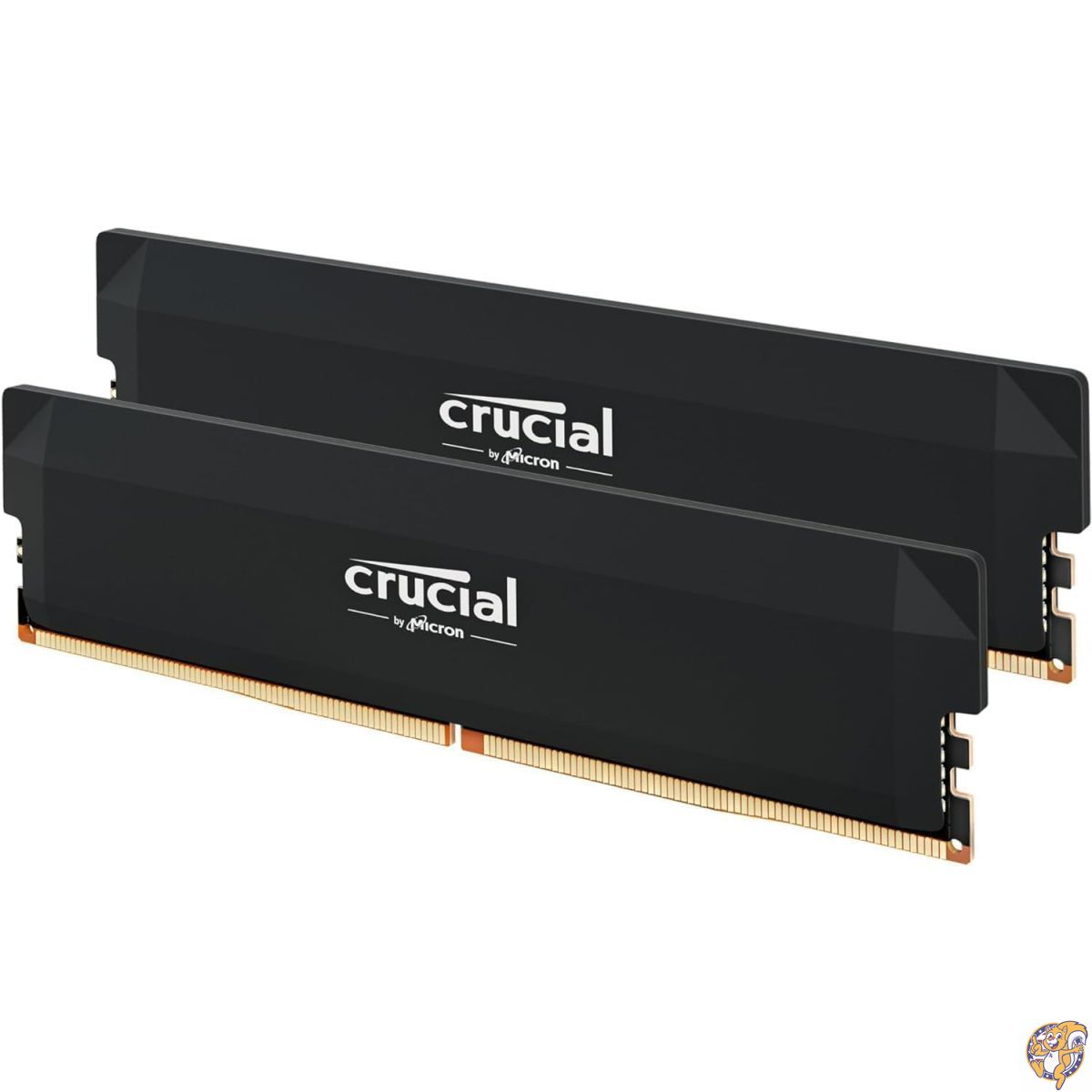 【クーポン配信中】Crucial(クルーシャル) PRO (マイクロン製) デスクトップ用メモリ 24GBX2枚 DDR5-6000 CP2K24G60C48U5|パームスアメリカ