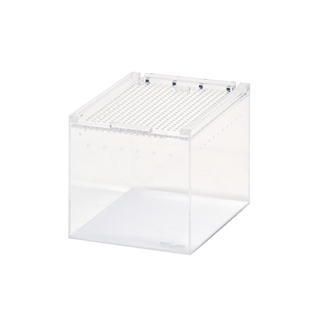 楽天市場】三晃商会 Repti wild レプタイルボックス（T1） 爬虫類