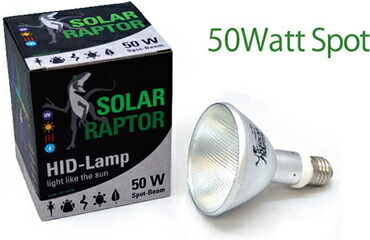 SOLAR RAPTOR HIDランプセット 35W ソーラーラプター ソーラーラプター