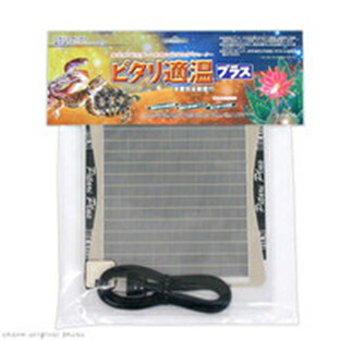 限定価格セール ８ｗ ピタリ適温プラス2号 熱帯魚 アクアリウム