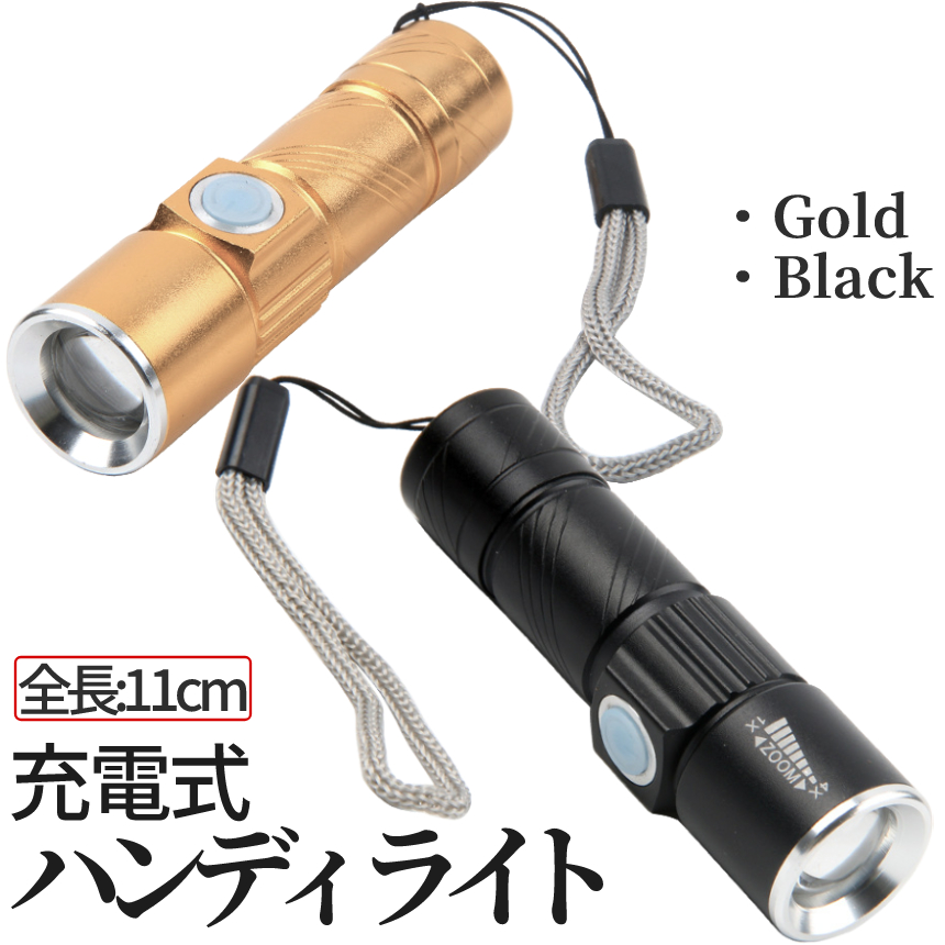 ペンライト 懐中電灯 非常 ミニ 小型 p06-8a ライト ペン LED