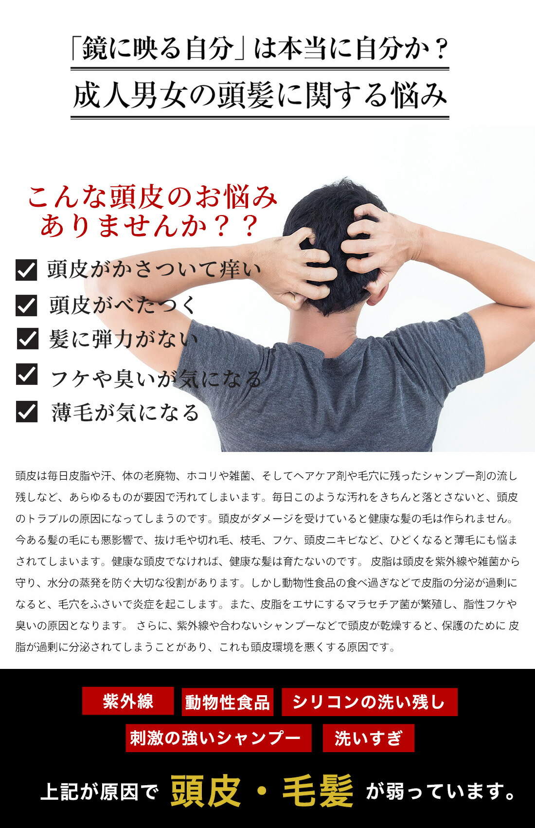 Dr Aga スカルプトライヤル起こす 草木中枢電池心臓部綯交ぜ ブラックスカルプシャンプー スカルプ心臓部 シャンプー500ml エッセンス60mlセット払い Oceanblueflorida Com