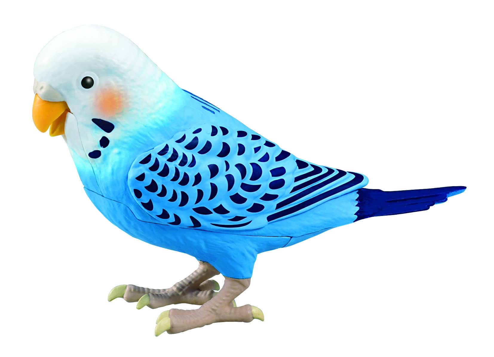 毎日おしゃべり 天才インコちゃん ブルー 対象年齢:6歳 脳トレ ヒーリングパートナー おしゃべり1100通り以上 お歌10曲｜PANCHASEMART