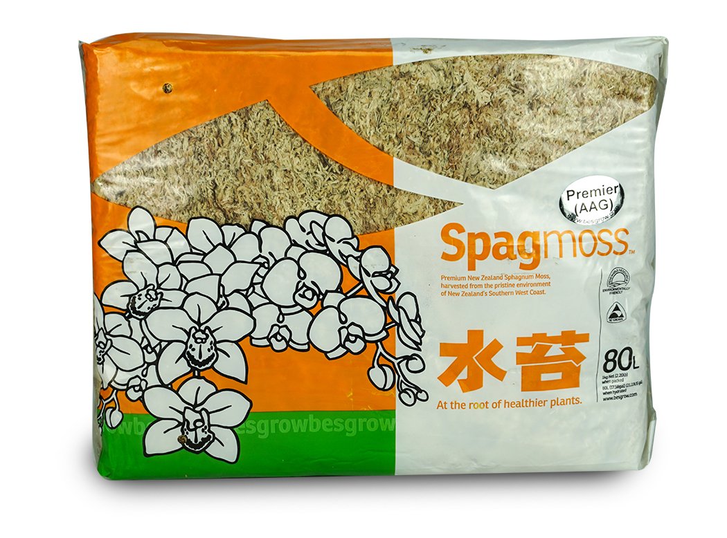ニュージー産 圧縮水苔 AA 1kg|PANCHASEMART