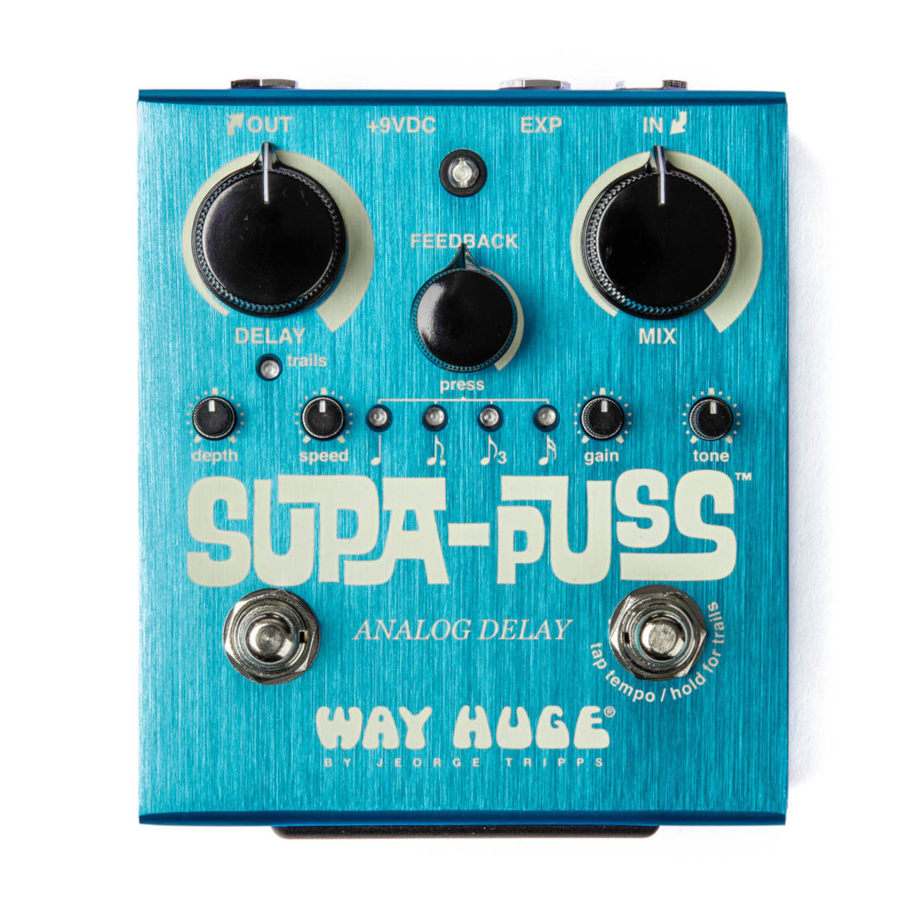 【並行輸入品】Way Huge WHE707 WAY HUGE SUPA-PUSS ANALOG DELAY