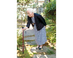 散歩A(エース) 伸縮式