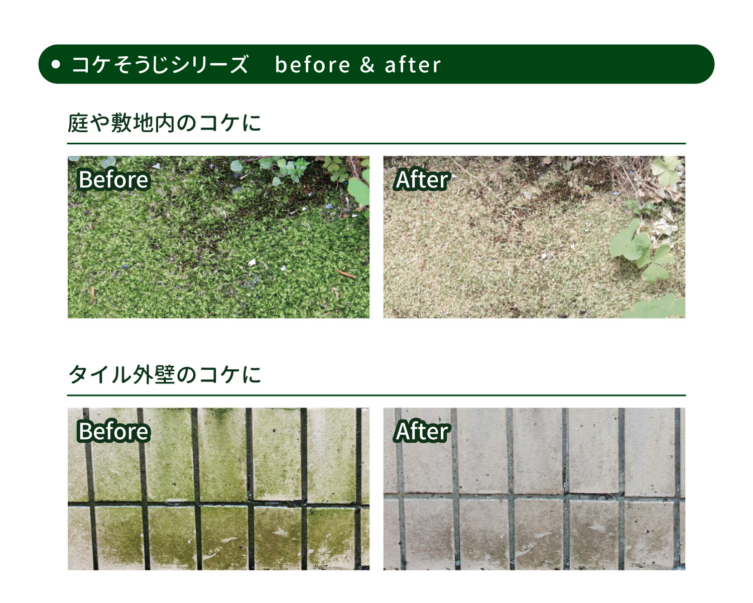 イシクラゲも強力駆除 いしくらげ kg 送料込 出荷場所が別のため別商品と同梱不可 いしくらげ ヘルスケア 対策に 苔 コケ駆除剤 コケそうじスプレー業務用濃縮液 パネフリ工業 こけ 駆除 除去 パネストア化学合成成分ゼロ グレープフルーツ イシクラゲも強力駆除 いしくらげ kg 送料込 出荷場所が別のため別商品と同梱不可 いしくらげ ヘルスケア 対策に 苔 コケ駆除剤 コケそうじスプレー業務用濃縮液 パネフリ工業 こけ 駆除 除去 パネストア化学合成成分ゼロ グレープフルーツ