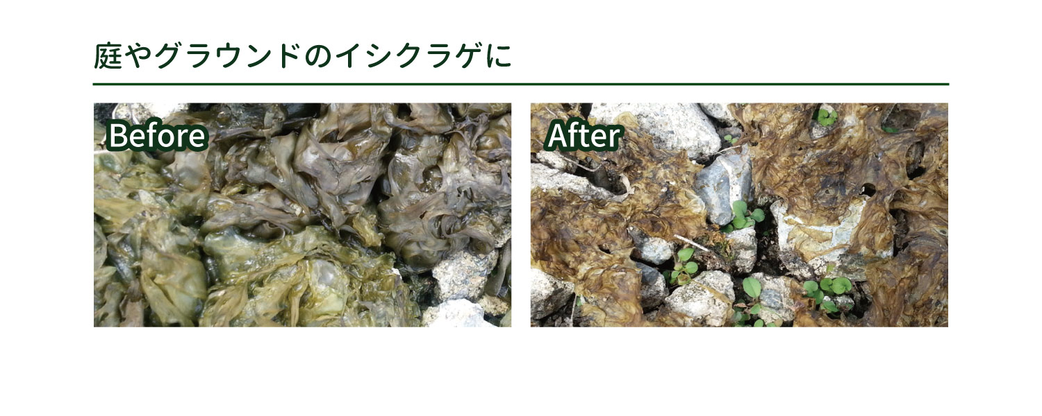 イシクラゲも強力駆除 いしくらげ kg 送料込 出荷場所が別のため別商品と同梱不可 いしくらげ ヘルスケア 対策に 苔 コケ駆除剤 コケそうじスプレー業務用濃縮液 パネフリ工業 こけ 駆除 除去 パネストア化学合成成分ゼロ グレープフルーツ イシクラゲも強力駆除 いしくらげ kg 送料込 出荷場所が別のため別商品と同梱不可 いしくらげ ヘルスケア 対策に 苔 コケ駆除剤 コケそうじスプレー業務用濃縮液 パネフリ工業 こけ 駆除 除去 パネストア化学合成成分ゼロ グレープフルーツ