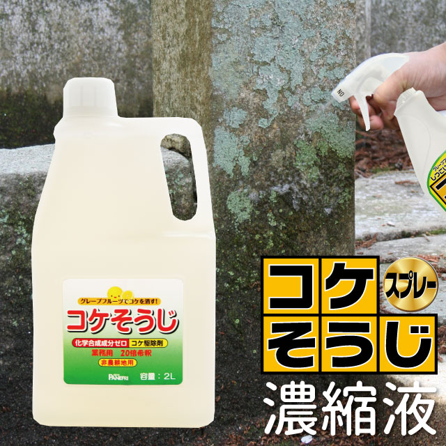 楽天市場 イシクラゲも強力駆除 化学合成成分ゼロ コケ駆除剤 コケそうじスプレー 500ml パネフリ工業 いしくらげ 対策に 出荷場所が別のため別商品と同梱不可 メイド イン ジャパン 国産 日本産 苔 こけ 駆除 除去 パネストア