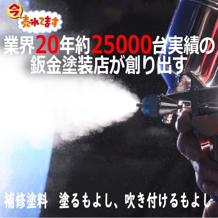 バイク用ペイント コート缶メタリックグラファイトグレー カラー番号900ml 塗料 バイク用品 | lppbandung.kemenkumham.go.id