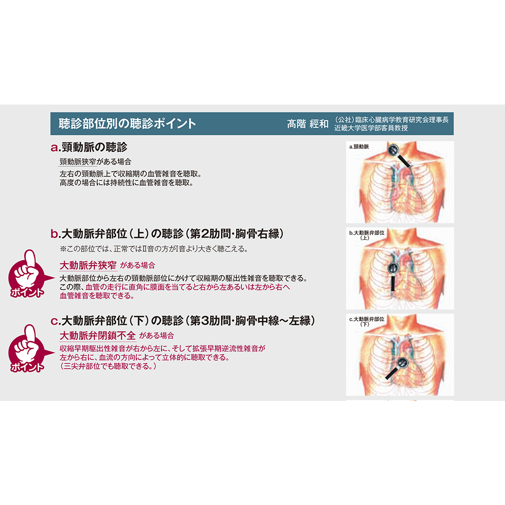 公式ショップ ケンツメディコ 聴診器 ステレオフォネットsx No 178 ダークネイビー Kenzmedico ステート Fucoa Cl