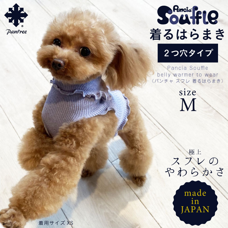 楽天市場 日本製 Pancia Souffle 着るはらまき 2つ穴タイプ Sサイズ ペット用腹巻き シルク腹巻 犬用 猫用 腹まき タンクトップ 犬用腹巻 猫用腹巻 犬お腹の冷え対策 着せやすい 冷え予防 下痢 皮膚病 免疫 換毛期 脱げにくい 大きいサイズ色違い Panfree Shop