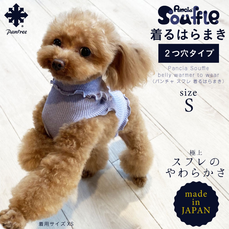 楽天市場 日本製 Pancia Souffle 着るはらまき 2つ穴タイプ Mサイズ ペット用腹巻き シルク腹巻 犬用 猫用 腹まき タンクトップ 着せやすい 冷え予防 下痢 皮膚病 免疫 換毛期 脱げにくい 大きいサイズ色違い Panfree Shop