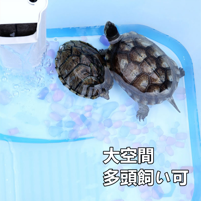 亀 溜桶 カメ 飼育ショーケース バッターズボックス タートル水槽 日光浴楼観 ミドリガメ クサガメ スッポン 観測 駆水穴ぼこ 階梯 エサプレート 貨物輸送無料 大きい 特大 Acilemat Com