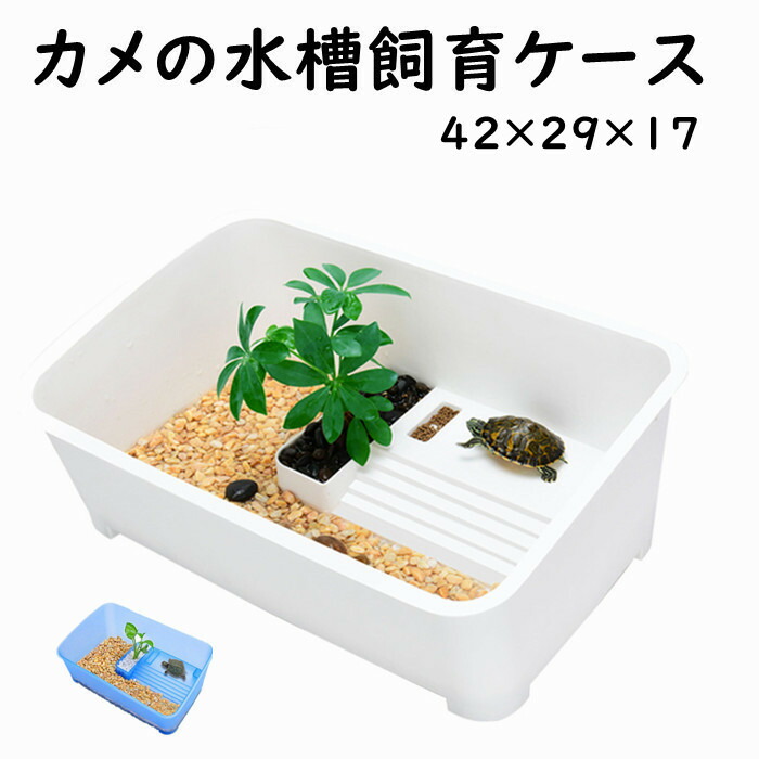楽天市場】送料無料 亀の水槽 カメ用水槽 大きい カメの水槽 爬虫類 水槽 飼育ケース タートルタンク カメ 生息地 日向ぼっこ台 エサ皿 日よけ  排水孔あり ３カラー ザリガニ 観察 「サイズ大」 送料無料 : panni