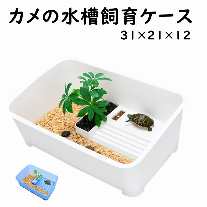 楽天市場】亀の水槽 カメ水槽 カメ飼育ケース カメさんのお家 亀水槽