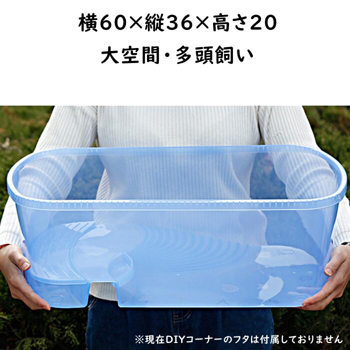 いいスタイル 亀の水槽 カメ 水槽 飼育ケース 大型 ボックス タートルタンク 日向ぼっこ台 ミドリガメ クサガメ スッポン 観察 排水孔 凹凸 階段 登りやすい 一体型 大きいサイズ 亀さんのお家 カメボックス 軽量 専用ネットつき 脱出防止 防鳥 防獣 Granmar Com Br