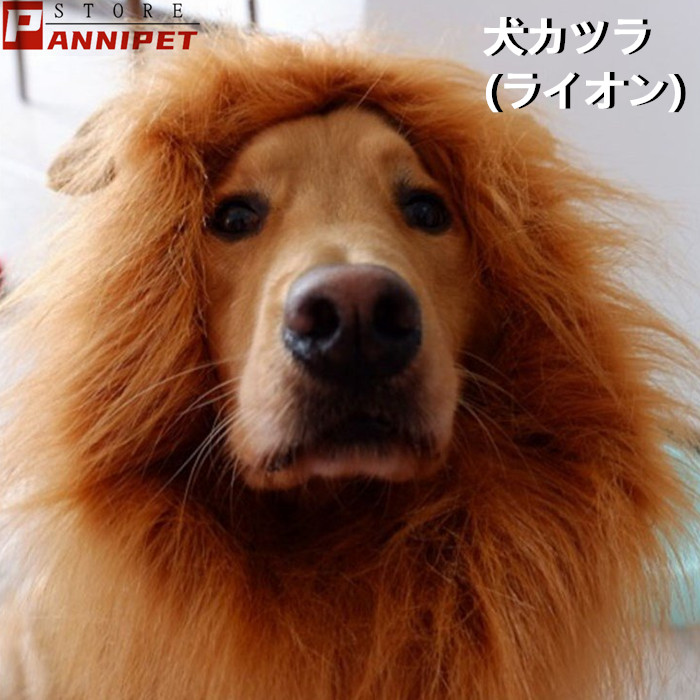 楽天市場 犬 ウィッグ カツラ アクセサリー ライオン コスプレ 中型犬 大型犬 かわいい ユニック 面白い フリーサイズ おしゃれ Panni