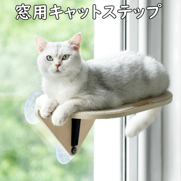 楽天市場】猫 段ボール箱 猫ハウス 猫爪とぎ 猫用 段ボール箱 小屋 紙