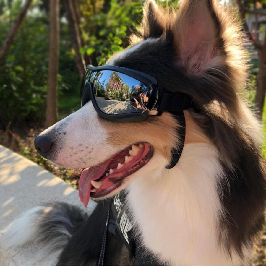 犬サングラス 犬用 メガネ ゴム めがね 犬用ゴーグル 眼鏡 サングラス 夏用 ドライブ用