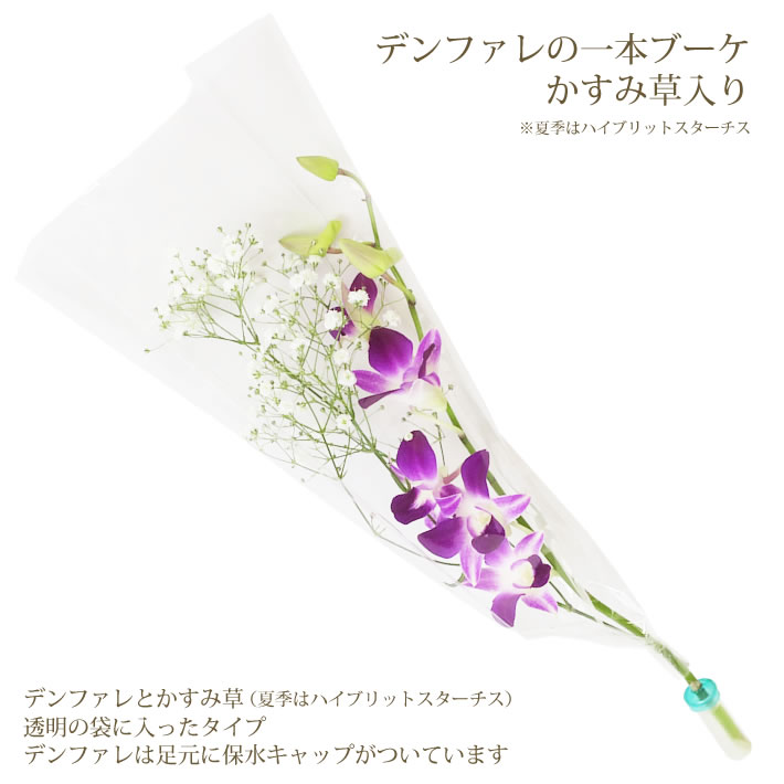 28種類から選べる165円 卒業 1本 Igp ご注文は10本 デンファレ おめでとう かすみ草入り デンファレの一本ブーケ プチギフト プレゼント ラッピング 一輪 一輪ブーケ 卒園 花 花束 芸能人愛用 卒園
