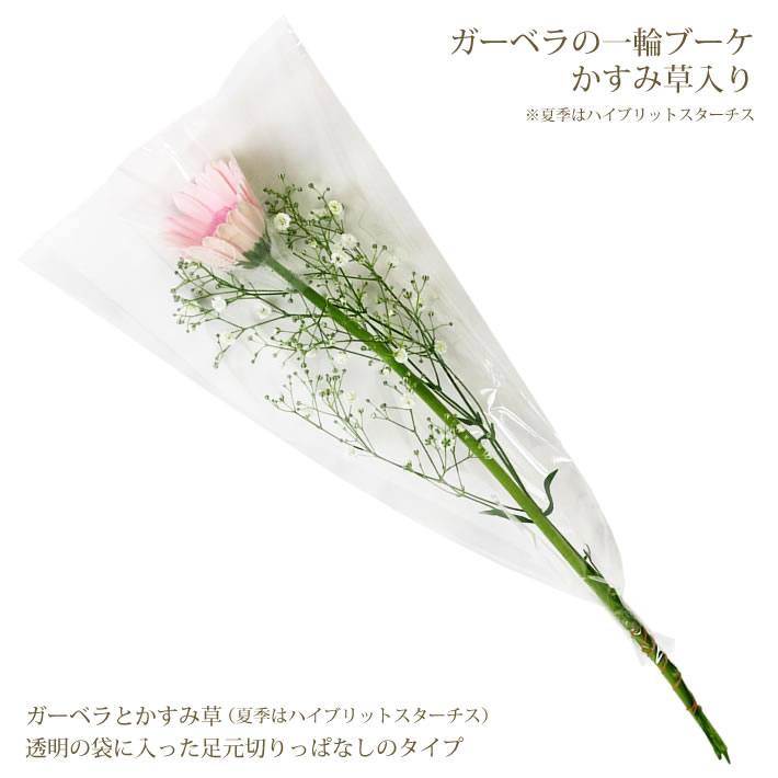 楽天市場 28種類から選べる165円 卒業 卒園 1本 ガーベラの一輪ブーケ Basic ご注文は10本 ガーベラ 1本 花 プレゼント 一輪 卒業 1本 卒園 1本 一輪 花束 ラッピング 花 一輪 卒業 おめでとう プチギフト 卒業 プレゼント 一輪ブーケ Igp パンジー フラワーズ