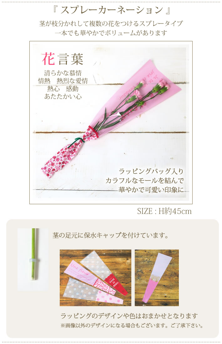 28種類から選べる165円 卒業 1本 Igp ご注文は10本 カーネーション スプレーカーネーションの一本ブーケ プレゼント ラッピング 一輪 卒園 花 花束 足元保水 休日 卒園