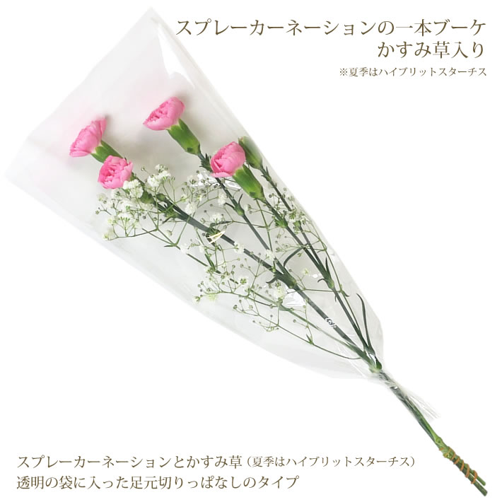 28種類から選べる165円 勤労感謝の日 スプレーカーネーションの一輪 ブーケ かすみ草 入り 花 1輪 1本 一本 1輪の花 花束 プレゼント ラッピング 花言葉 意味 感動 温かい心 カーネーション 赤 ピンク Spカーネ 生花 切り花 卒業式 卒園式 通販 花屋 おすすめ Igp 倉