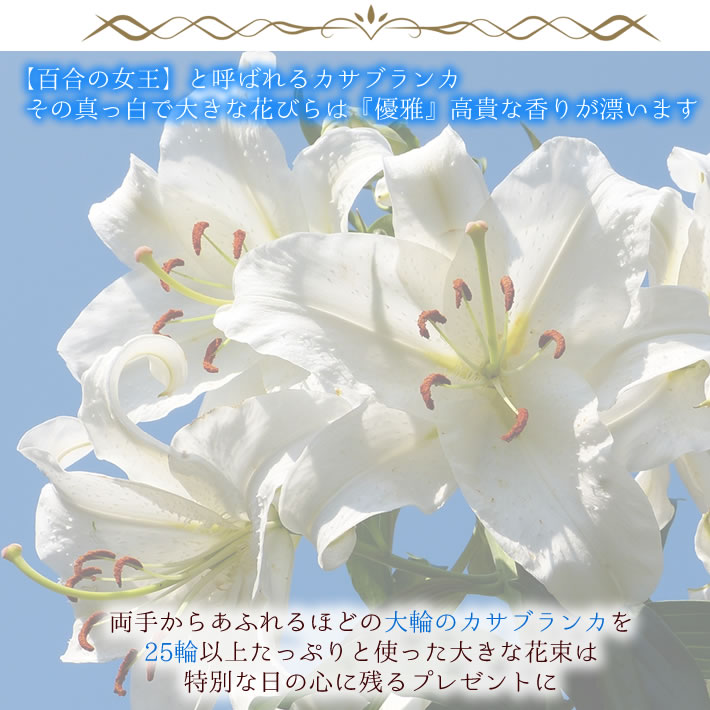 国内最安値 楽天市場 カサブランカ 花束 最高級 カサブランカ 25輪の 花束 お届け日指定 メッセージカードok 送料無料 フラワーギフト プレゼント カサブランカ お祝い 誕生日 花 記念日 還暦祝い カサブランカ 送別会 Fgp パンジー フラワーズ Web限定