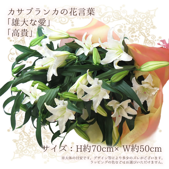 最新人気 楽天市場 カサブランカ 花束 最高級 カサブランカ 25輪の 花束 お届け日 指定 メッセージカードok 送料無料 フラワーギフト プレゼント カサブランカ お祝い 誕生日 花 記念日 還暦祝い カサブランカ 送別会 Fgp パンジー フラワーズ 最安値 Blog