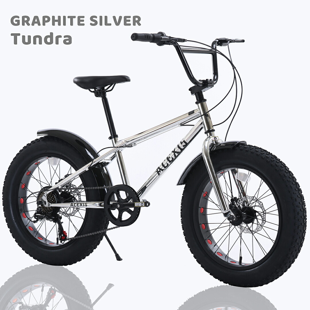 【百貨店大売り出し2,000円OFF！】【遣っ付ける車お届け能力のある】ACEXIS ファットバイク Fat City Cruiser BMX 銀輪 シティ 砂浜クルーザー 無償性表現スタイル 街乗り 20in 側面照明ランプ レコード盤打ちきり