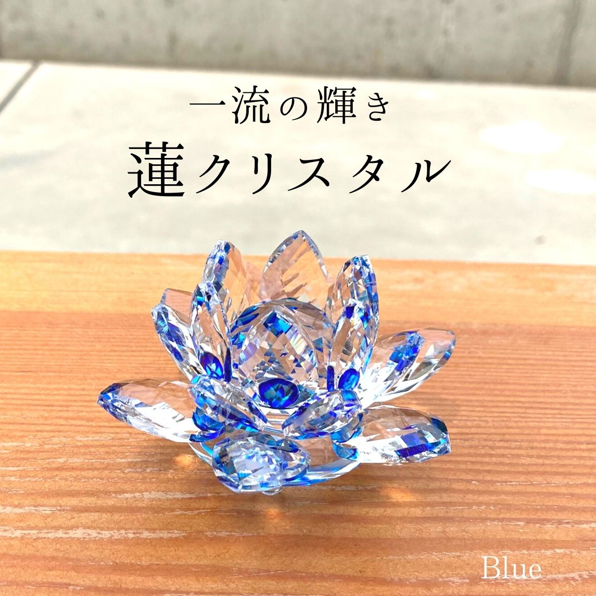 楽天市場】2026 開運【太陽の力を掴むサンキャッチャー】 ハス 開運