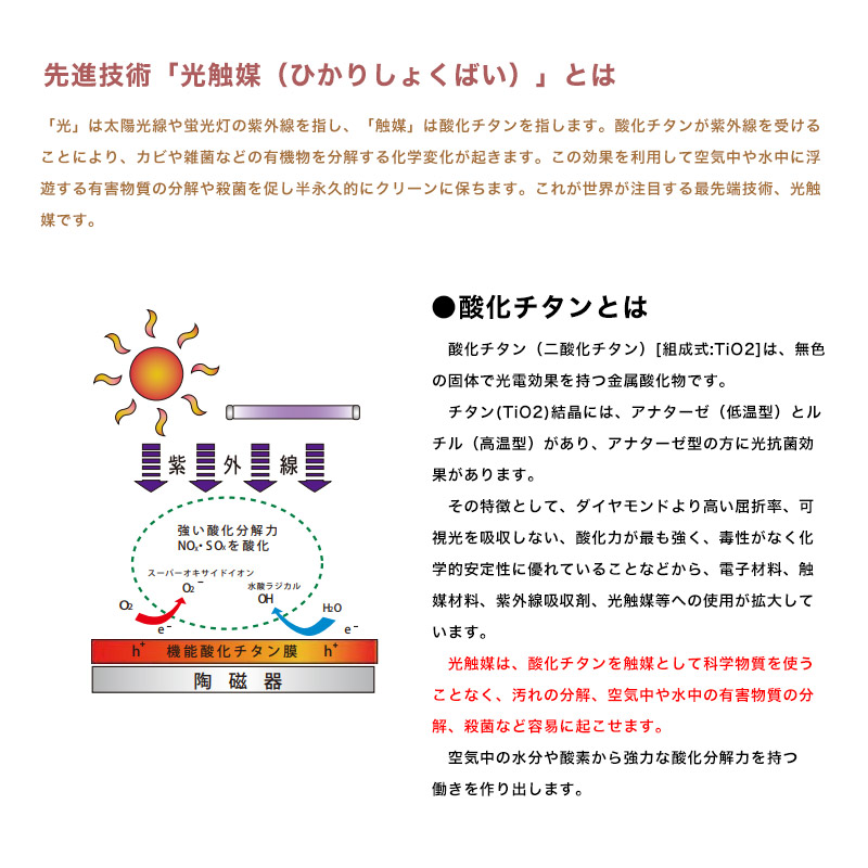 【送料無料】【有田焼】伊万里焼染錦金彩桜絵洗面器(花型)ART2-550425ーH磁器