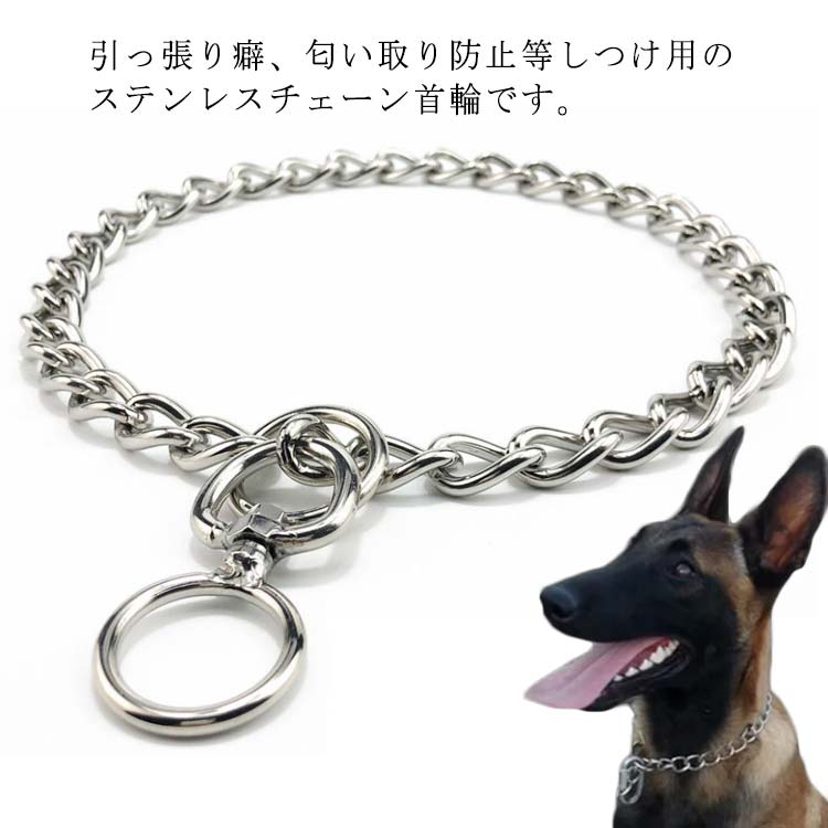 楽天市場】犬 首輪 ステンレス チェーン 引っ張り しつけ用 訓練