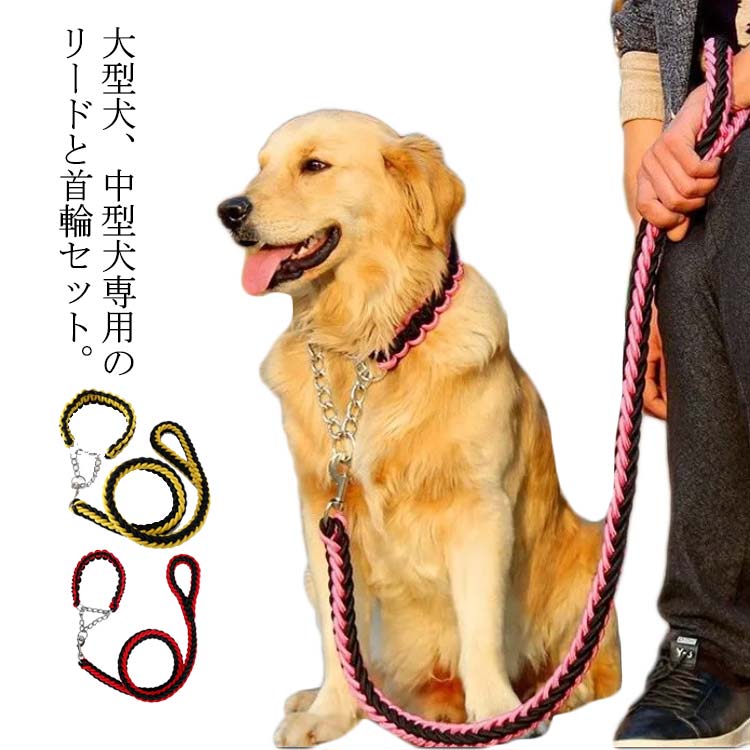 レア！Ripndip 首輪とリードのセット 楽天市場】リード 首輪 2点セット 犬 首輪セット リードセット