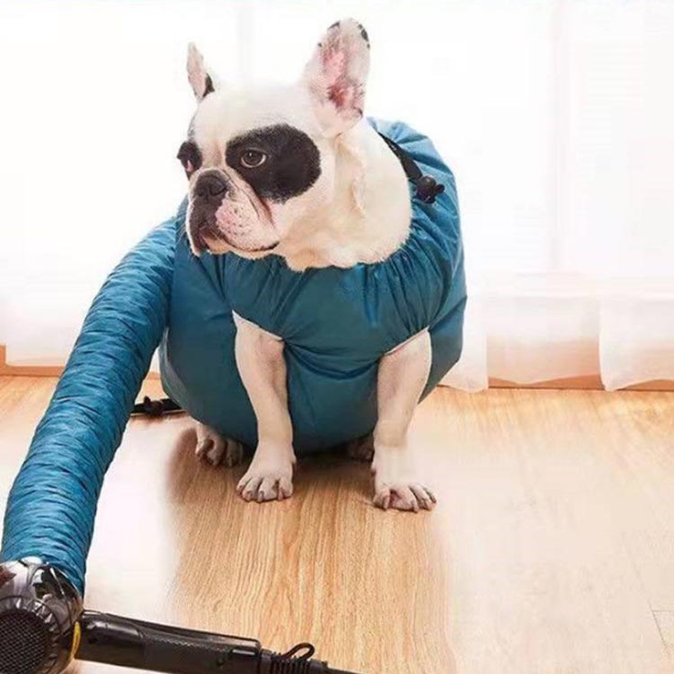 激安正規品 ペット乾燥箱 犬猫用 速乾 S M L お風呂後 乾燥袋 乾燥用 バッグ 乾燥ケース 毛深い犬 コーギー 柴犬 ゴールデンレトリバー シャンプー後 素早く乾かす ドライ バスグッズ ペット用品 乾燥服 ウエア 通気 軽量 送料無料 Whitesforracialequity Org