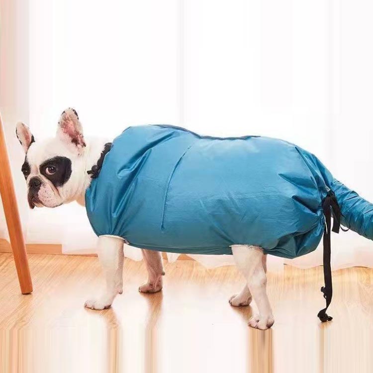 激安正規品 ペット乾燥箱 犬猫用 速乾 S M L お風呂後 乾燥袋 乾燥用 バッグ 乾燥ケース 毛深い犬 コーギー 柴犬 ゴールデンレトリバー シャンプー後 素早く乾かす ドライ バスグッズ ペット用品 乾燥服 ウエア 通気 軽量 送料無料 Whitesforracialequity Org