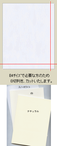 マーメイド紙 153k 限定製作 選べる白系３色 B4 10枚 八切判カット品 特殊紙 画材 ファンシーペーパー 印刷用紙 画用紙 当日発送応相談