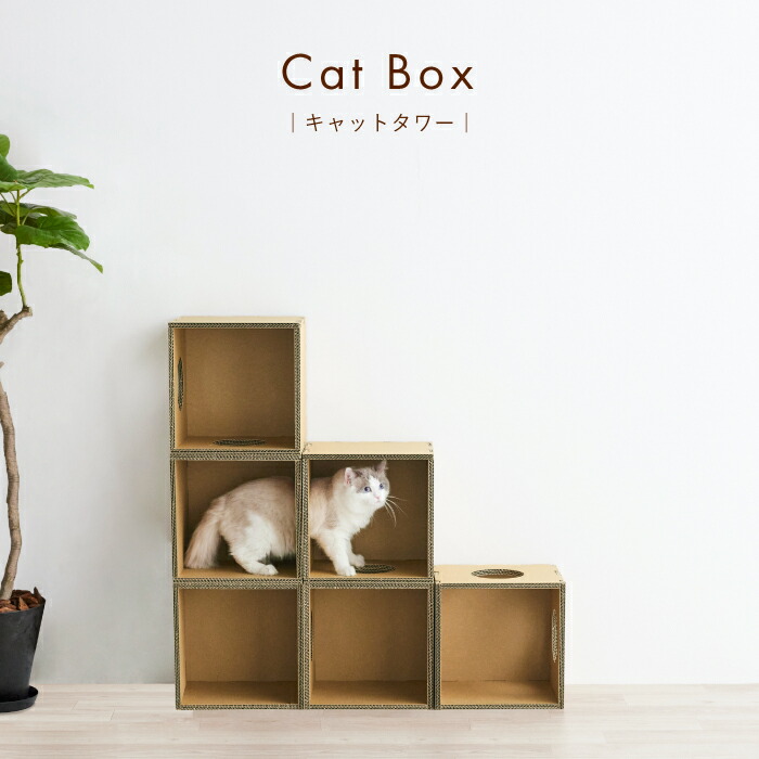 【周囲の状況に人懐っこい 猫調度品】キャットタワー キャットハウス 棚 納める ボックス席 今めかしい 取り付け【キャットボックス】猫 自然的  段ボール ダンボール 軽さ 青写真オブジェ 室内装飾 室内 日本製造業者