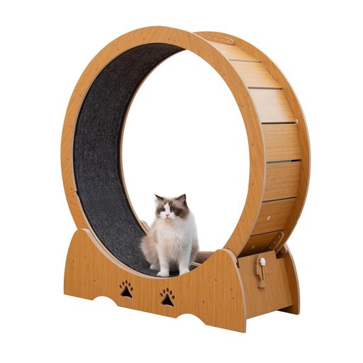 PETTOM 木製キャットホイール ネコ用 ルームランナー 木製 ランニングホイール 室内 キャットウォーク 回転 猫ホイール 室内運動用｜papimomo.shop
