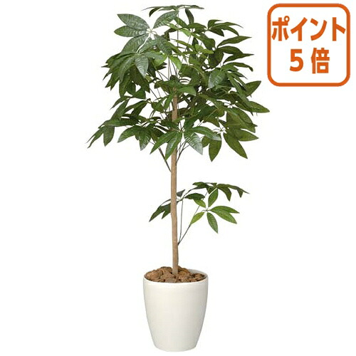 ★5月9日17時申しつける分より尖んがり5倍★ アートクリエイション 人工草木 パキラトピアリー 高さ１２００粍 光触媒 A4507-150
