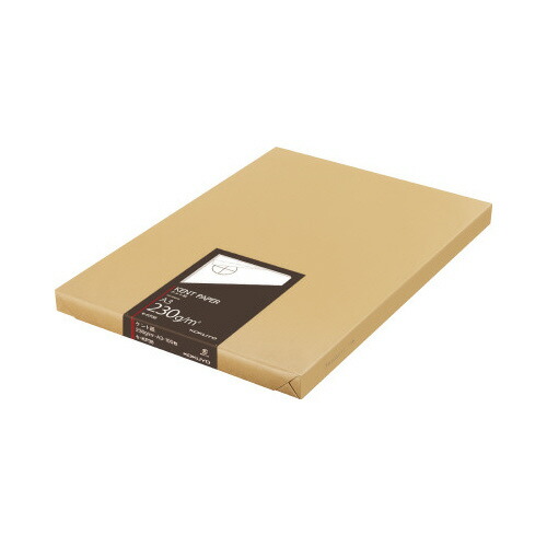 楽天市場】スーパーセール中P15倍！【コクヨ 公式】高級ケント紙 A3