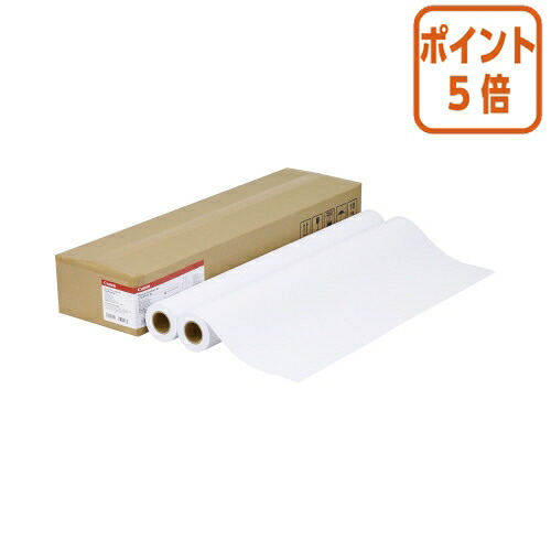 ★5月9日17時申し付ける分より尖んがり5倍★ キヤノン キヤノン ＩＪＰ質問用紙 割り増し金平平凡凡たる紙 ９１４粍×５０ｍ ８０ｇ／ｍ２ ２本 LFM-PPP/36/80