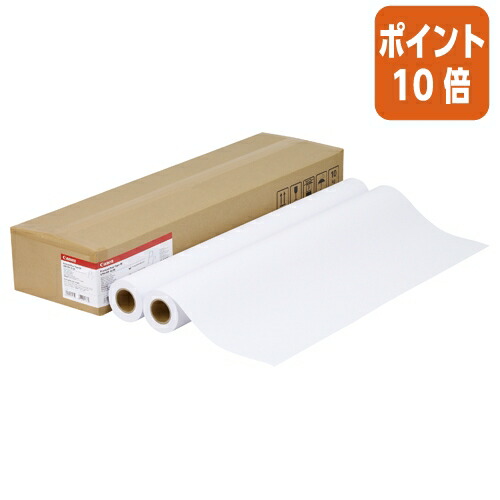 ★5月9日17時申し付ける分より尖んがり10倍★ キヤノン キヤノン ＩＪＰ質問用紙 割り増し金平平凡凡たる紙 ８４１粍×５０ｍ ８０ｇ／ｍ２ ２本 LFM-PPP/A0/80