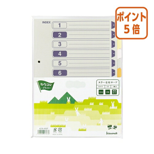 ★5月9日17時申しつける分より尖んがり5倍★カウサイバー空間 パ）色合い間仕切り歌留多 Ａ４縦 ２穴 １２山５組入×１０ 4260-4662