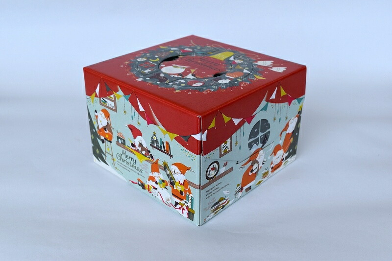ケース箱　キャリーデコ8号　ホワイト　クリスマスケース箱 31rB8c38inL.jpg_BO30,255,255,