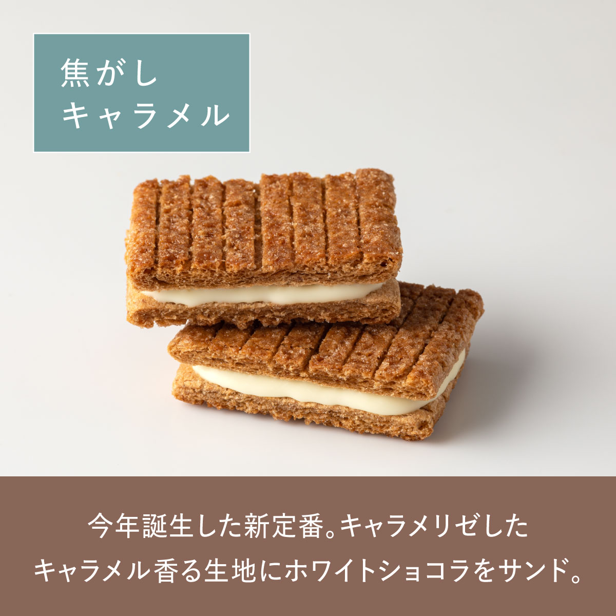 楽天市場 シュガーバターサンドの木 焦がしキャラメル お買得パック10個入 シュガーバターの木 メーカー公式 シリアル菓子 チョコレート菓子 お取り寄せ おやつ スイーツ 人気 お土産 定番土産 お菓子 おもたせ 菓子折り 自分用 ご自宅用 クッキー パクとモグ