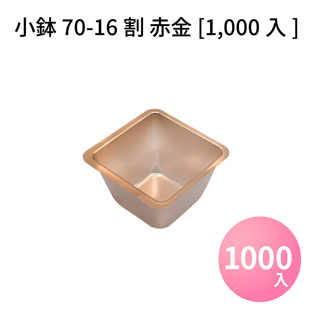 パケットポーチェ6月百貨店SALE！