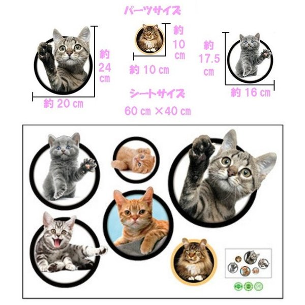 楽天市場 ウォールステッカー 猫 黒猫 三毛猫 動物 シール 3d トリックアート 壁穴 写真 だまし絵 インテリア おしゃれ ねこ 壁紙 シール ドア 子猫 Parasugar