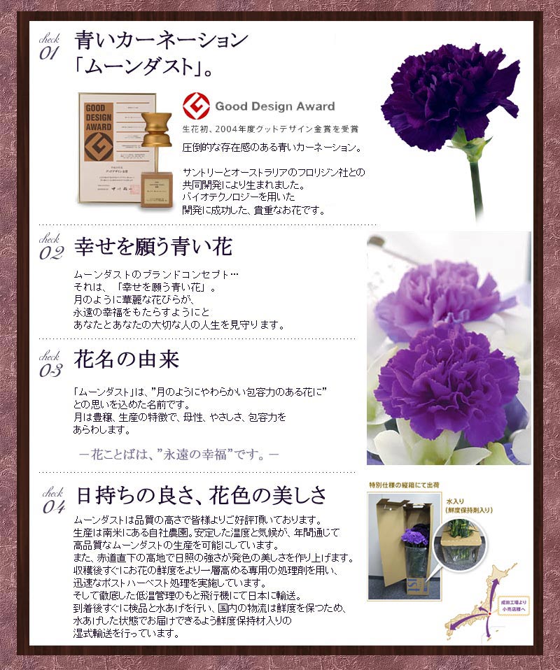ムーンダスト 誕生日 生花 立つブーケ 花 ガーデン Diy 記念日 古希や喜寿のお祝いに大人気 長持ちするカーネーション 退職祝い スタンディングブーケ 誕生日 長寿のお祝い 敬老の日 お祝い プレゼント 結婚記念日 古希 花 ギフト カーネーション ムーンダストの ムーンダスト 誕生日 生花 立つブーケ 花 ガーデン Diy 記念日 古希や喜寿のお祝いに大人気 長持ちするカーネーション 退職祝い スタンディングブーケ 誕生日 長寿のお祝い 敬老の日 お祝い プレゼント 結婚記念日 古希 花 ギフト カーネーション ムーンダストの